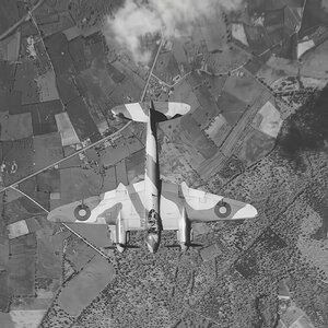 de Havilland Mosquito - top view