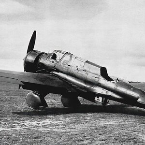 PZL 23 Karaś "White 5"