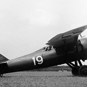 PZL P-7  "White 19"