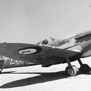 Spitfire Mk.VB Trop s/n AB324 of the no. 145 Squadron RAF