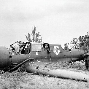 Shot down PZL 23 Karaś "White 8", s/n. 44.217, 41 Squadron, 1939 (8)
