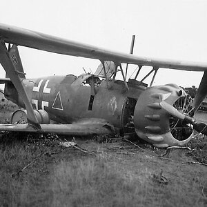 Henschel Hs 123 of the Schlachtgeschwader 1, code L (2)