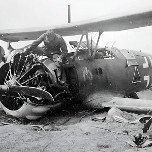 Henschel Hs 123 of the Schlachtgeschwader 1, code L (1)