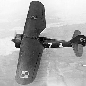PZL P-7a "White 7" of the  122 Fighter Squadron (2)