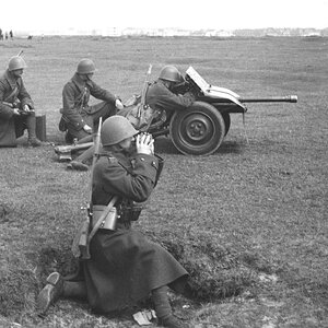 The Polish Army 37 mm  Bofors wz.36 anti-tank gun, 1938