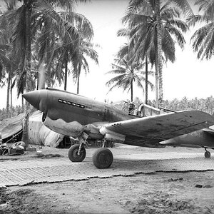 Curtiss P-40 Kittyhawk, RAAF, 1942