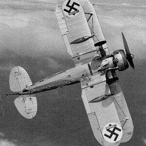 Gloster Gladiator , the Latvian AF. the bottom view