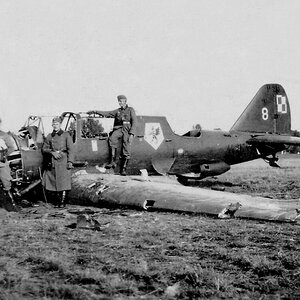 Shot down PZL 23 Karaś "White 8", 41 Squadron, 1939 (9)