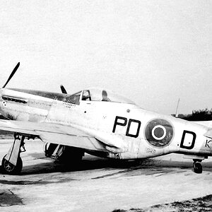 RAF Mustang Mk.IVa KM112 code PD-D ( NA P-51K s/n. 44-11956 ) of the Tadeusz Kościuszko's 303 (Polish) Squadron, 1946