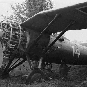 PZL P.7a "White 14", the military no. 6.49, abandoned at the Ułęż airfield in1939