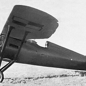 PZL P-11c