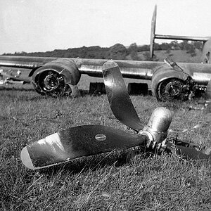 B-24H Liberator s/n. 42-52413 "Lucky 13" of the 757th BSS, 459th BG shot down by flak in Nagyberki, Hungary, July 7th 1944