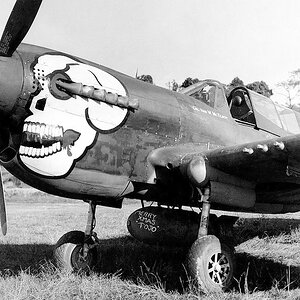 Curtiss P-40E