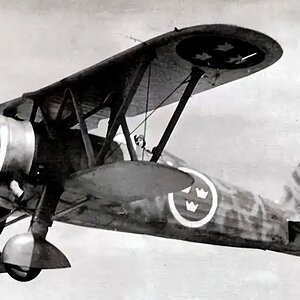 Fiat CR.42 Falco, "White 11" of the 1st SF (Svenska flygvapnet) Squadron, 1941 (4)