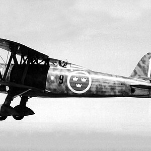 Fiat CR.42 Falco, "White 11" of the 1st SF (Svenska flygvapnet) Squadron, 1941 (3)