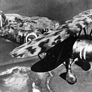 Fiat CR.42 Falco, "White 11" of the 1st SF (Svenska flygvapnet) Squadron, 1941 (2)
