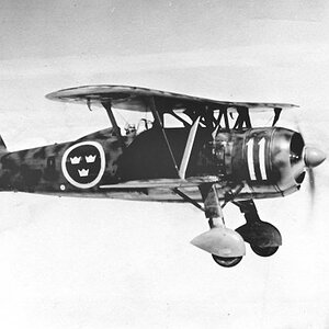 Fiat CR.42 Falco, "White 11" of the 1st SF (Svenska flygvapnet) Squadron, 1941 (1)