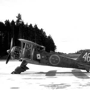 Fiat CR.42 Falco, "White 46" of the Svenska flygvapnet