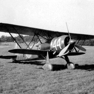 Fiat CR.42 Falco, "White 44" of the Svenska flygvapnet