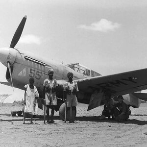 Curtiss P-40F s/n. 41-13969, the 65th FS, Egipt 1942