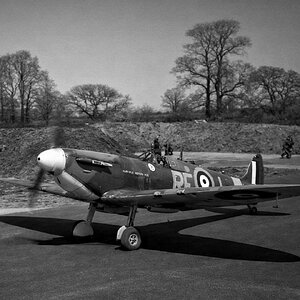 Spitfire Mk.lla s/n. P8085, code RF-J named "Garfeld Weston SVIl” of the no. 303 Squadron ( Polish ) RAF, Northolt, 1941