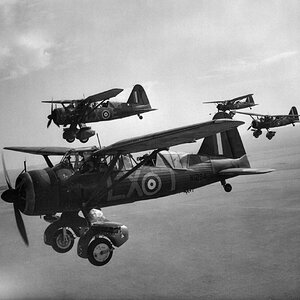 Westland Lysander Mk.II s/n N1294, LX-T, no. 255 Squadron, 1940 (3a)