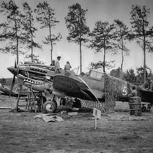 Curtiss Hawk 81 A, White 52, AVG.
