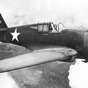 Curtiss P-36A 8137 (1)