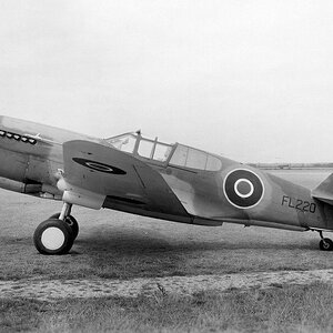 Curtiss P-40F s/n. 41-13698 ( RAF Tomahawk Mk.IIA, FL 220 )
