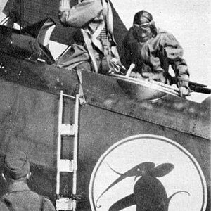 Lublin R-VIII, a squadron emblem