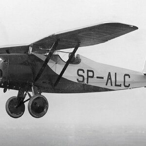 RWD-10