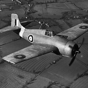 Grumman Martlet Mk.I  s/n. AL257 of No.804 Squadron FAA (5)