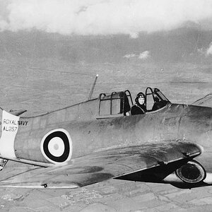Grumman Martlet Mk.I  s/n. AL257 of No.804 Squadron FAA (3)