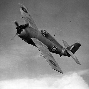 Grumman Martlet Mk.I  s/n. AL257 of No.804 Squadron FAA (2)