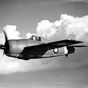 Grumman Martlet Mk.I  s/n. AL257 of No.804 Squadron FAA (1)
