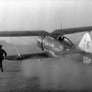 Polikarpov I-153 Chaika, the 3rd Squadron of the 72nd SAP of the VVS VMF, Vaenga-1 airfield in the Murmansk area 1941/42 (2)