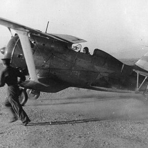 Polikarpov I-153 Chaika, the 3rd Squadron of the 72nd SAP of the VVS VMF, Vaenga-1 airfield in the Murmansk area 1941/42 (1)