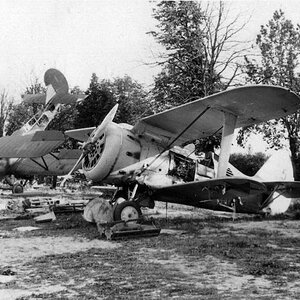 Polikarpov I-153 abandoned, Russia 1941 (1)