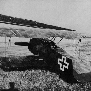 Fokker D.VI