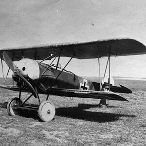 Fokker D.VI