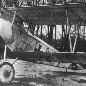 Euler D.II
