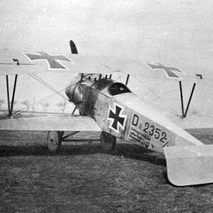 Euler D.II  no.2352/17