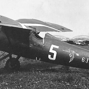 PZL P-7a "White 5" , military no. 6.17 of the 121 Fighter Squadron