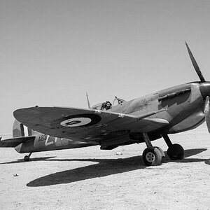 Spitfire Mk.VbTrop AB324 of No. 145 Squadron RAF