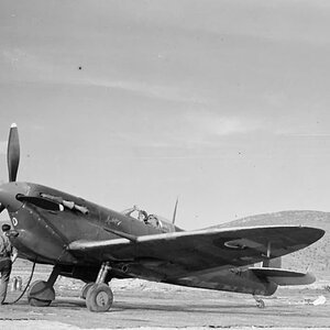 Spitfire Mk.Vb ER557, code EF-D, named "Mustapha" of No. 32 Squadron