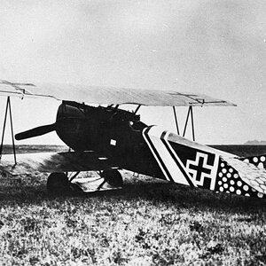 Fokker D.VII no. 8476, OAW, 1918