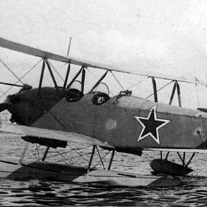Polikarpov Po-2M (3)