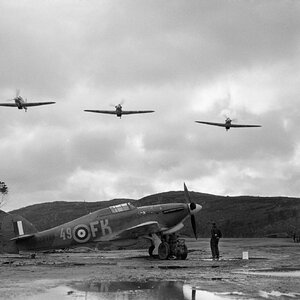 Hawker Hurricane Mk.IIb Trop, RAF 151 Wing, No.81 Squadron, USSR, 1941