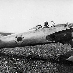 Dewoitine D.501