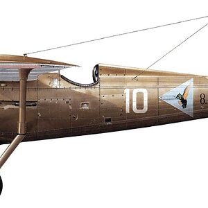 PZL P-11c s/n. 8.70, "White 10" flown by 2Lt. Hieronim Dudwał, 113 FS.